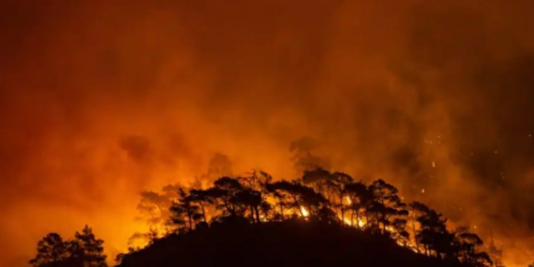 BE i ofron ndihmë Turqisë në luftën me zjarret