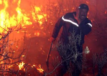 Zjarr edhe në qarkun Gjirokastër, dy fshatra nën flakë