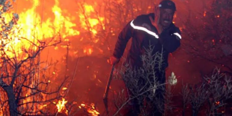 Zjarr edhe në qarkun Gjirokastër, dy fshatra nën flakë
