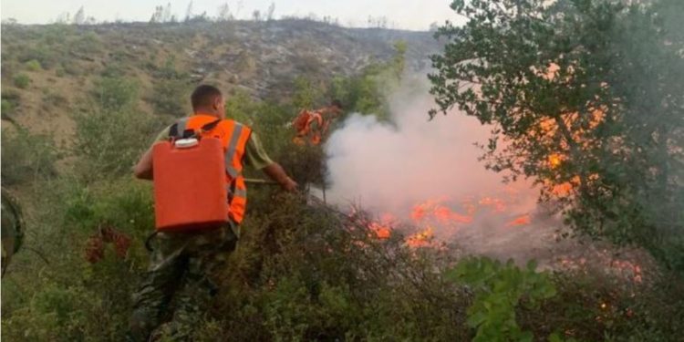 Vatra zjarri aktive në Finiq e Konispol