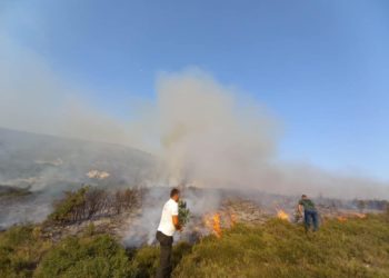 Dogjën kullota dhe ullishte në Sarandë e Vlorë, ja kush janë dy piromanët e arrestuar