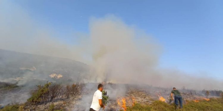 Dogjën kullota dhe ullishte në Sarandë e Vlorë, ja kush janë dy piromanët e arrestuar