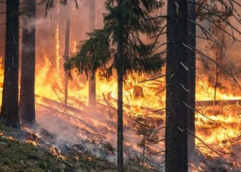 Rusi/ Mbi 250 zjarre aktive shkatërrojnë më shumë se tre milionë hektarë tokë