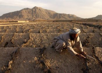 “Sfida për ne është thatësira, jo lufta”, tokat në Afganistan vuajnë mungesën e ujit