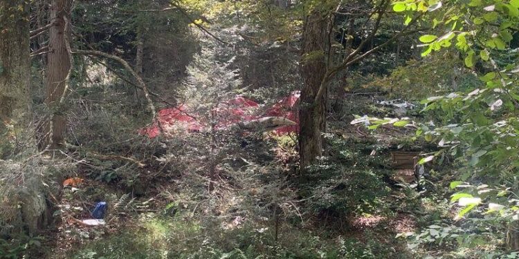 Tragjedia në SHBA/ Bie avioni, vdesin të gjithë pasagjerët në bord