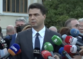 Flet Basha: Më është dyfishuar dhimbja për Berishën pas deklaratave kundër meje