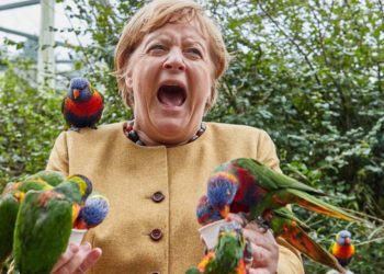 FOTO/ Momentet më pikante të 16 viteve në pushtet të Angela Merkelit