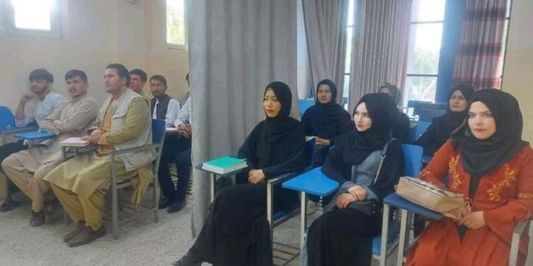 Foto që po bën xhiron e botës, ja si bëhet mësimi tashmë në universitetet e afganistanit