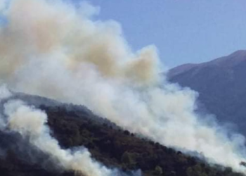 Zjarr i madh në Memaliaj, flakët i afrohen banesave