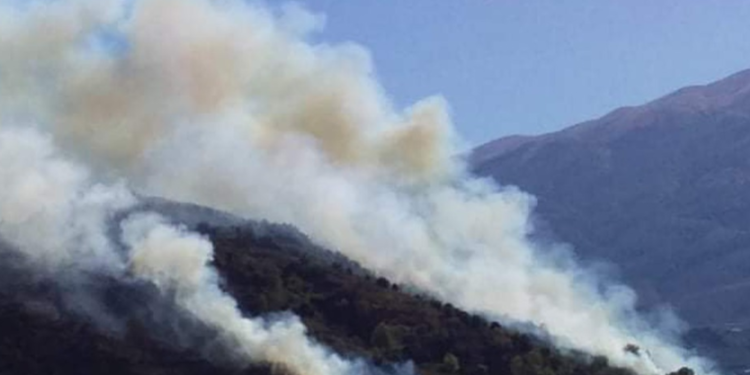 Zjarr i madh në Memaliaj, flakët i afrohen banesave