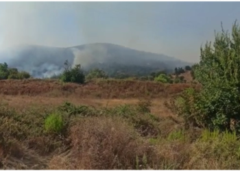 Vatër zjarri në Memaliaj (VIDEO)