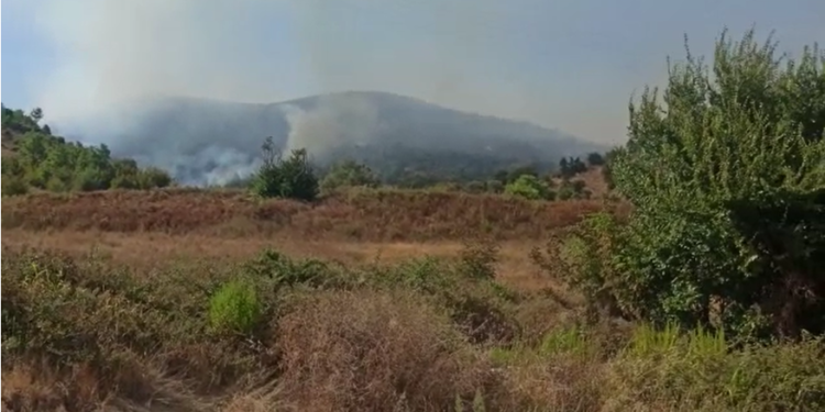 Vatër zjarri në Memaliaj (VIDEO)