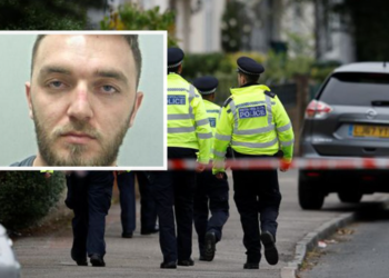 Iku me kamion drejt Anglisë, shqiptari kapet me shtëpi bari: Më thanë se do punoja si kopshtar