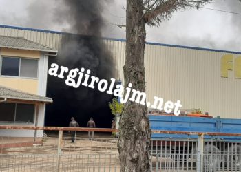 Zjarr i madh në Gjirokastër, flakët përfshijnë punishten e përpunimit të drurit (FOTO)