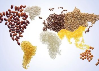 Çmimet e ushqimeve në botë arrijnë nivelin më të lartë në 10 vjet