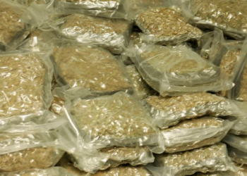 Shqiptari bën gabimin më të madh të jetës në Angli, gjykata nuk e fal