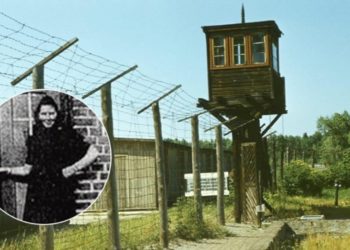 (FOTO) Arrestohet 96-vjeçarja gjermane/ Do gjykohet për 11 mijë vrasje naziste