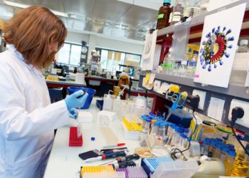 OBSH: Nuk e përjashtojmë mundësinë që virusi të ketë dalë nga laboratori