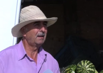 Fermerit në Gjirokastër i kalbet prodhimi në fushë, dëm 13 milionë lekë (VIDEO)