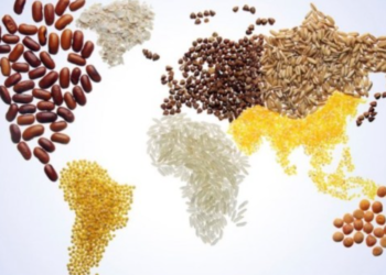 FAO: Çmimet e ushqimeve në botë arrijnë nivelin më të lartë në 10 vjet