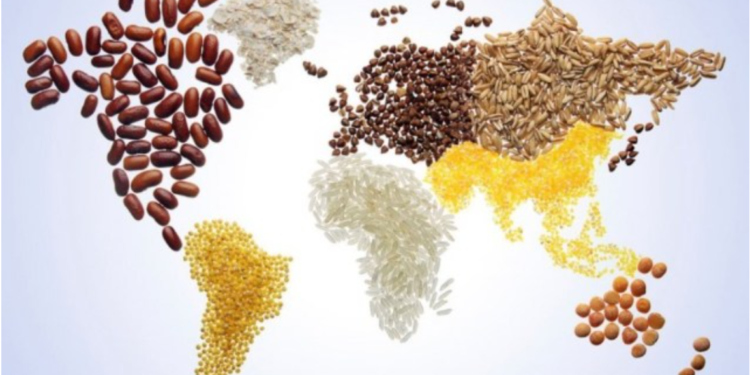 FAO: Çmimet e ushqimeve në botë arrijnë nivelin më të lartë në 10 vjet