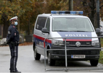 Sulm me thikë në Vjenë,  4 të plagosur