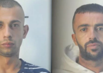 Kryen 11 grabitje, arrestohen shqiptarët që ishin kthyer në “tmerr” për Selanikun (FOTO)