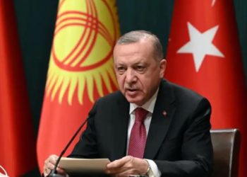 Gjykata Evropiane për të Drejtat e Njeriut thirrje Turqisë: Ndryshoni ligjin për ofendim të presidentit