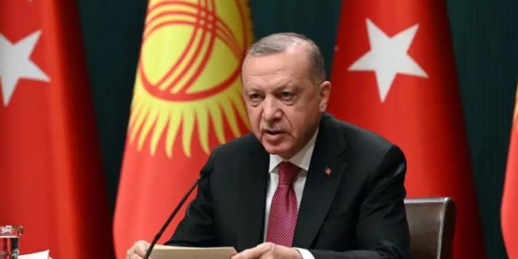 Gjykata Evropiane për të Drejtat e Njeriut thirrje Turqisë: Ndryshoni ligjin për ofendim të presidentit