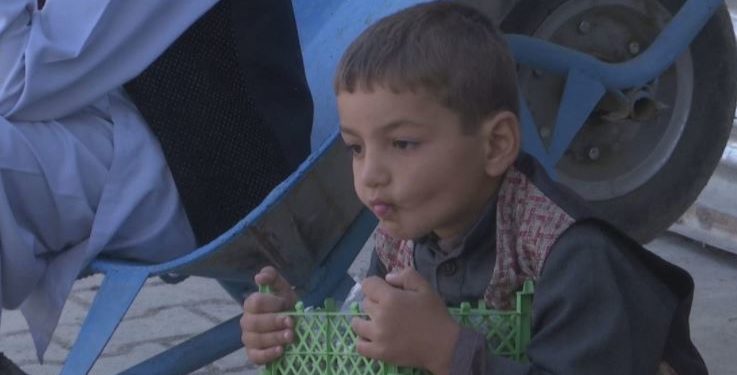 Samiti i G20 për Afganistanin: Miliona dollarë ndihma për shmangien e krizës humanitare