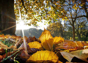 Moti, kthesa nis të enjten