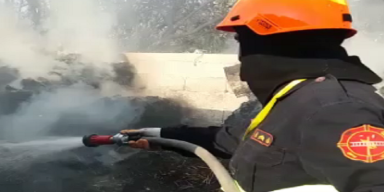 Gjirokastër, zjarr në Valare, rrezikohen banesat aty pranë