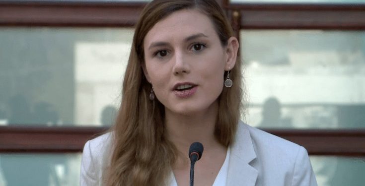 Nuk e zgjidh Bora këtë punën e vrasësve të sëmurë, kot e kemi!