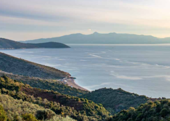 Falsifikuan dokumente, dy punonjës të Njësisë Administrative në Lukovë procedohen penalisht