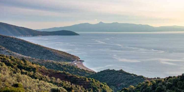 Falsifikuan dokumente, dy punonjës të Njësisë Administrative në Lukovë procedohen penalisht