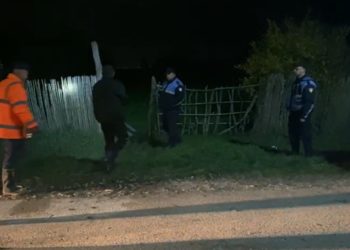 Gjendet një person i pajetë në Fier, dyshimet e para (VIDEO)
