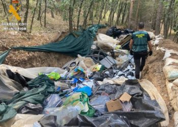 Parcela me kanabis në pyjet e Spanjës, edhe shqiptarë mes 33 të arrestuarve