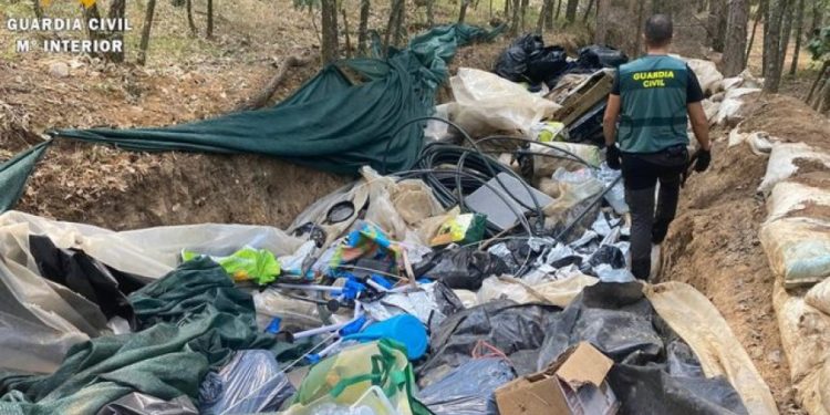 Parcela me kanabis në pyjet e Spanjës, edhe shqiptarë mes 33 të arrestuarve