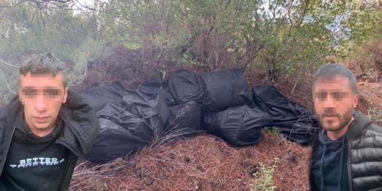 1.5 ton kanabis nga Shqipëria kapen në Turqi, dalin fotot e trafikantëve shqiptarë