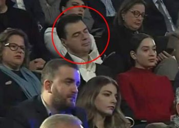 Foto virale në rrjet, Bashën e zë gjumi në aktivitetin për Ditën e Rinisë