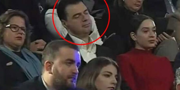 Foto virale në rrjet, Bashën e zë gjumi në aktivitetin për Ditën e Rinisë