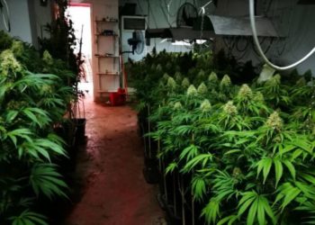 Vidhte energji elektrike për shtëpinë e barit, policia kap emigrantin shqiptar