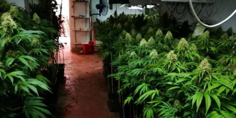 Vidhte energji elektrike për shtëpinë e barit, policia kap emigrantin shqiptar