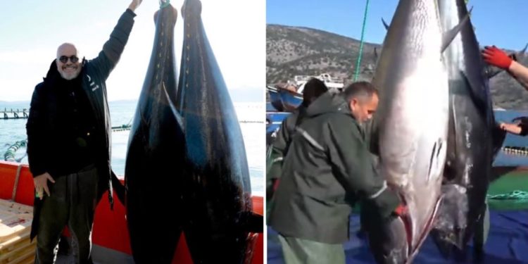 Rama pozon i buzëqeshur me peshqit e mëdhenj në Sarandë: Alamet çunash