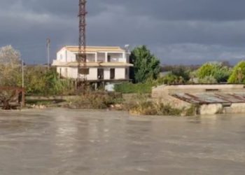 Vjosa del nga shtrati, disa banesa të përmbytura