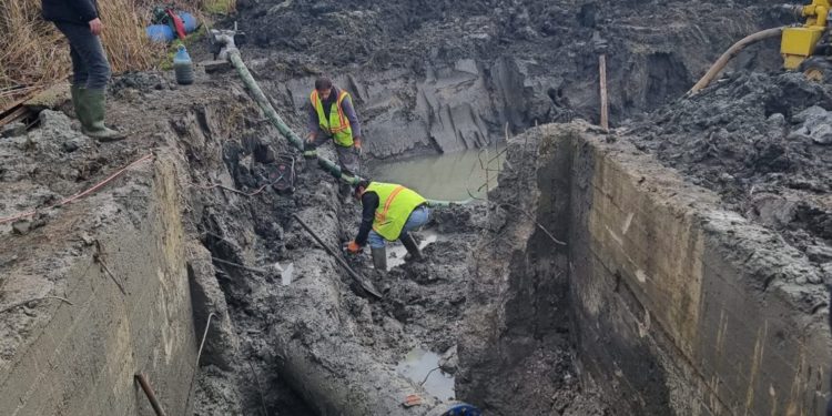 Lushnja tre ditë pa ujë, deputeti i PD: Nesër del shampo për morrat