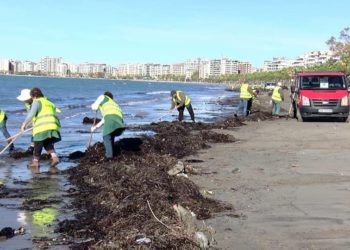 Shqipëria nuk mund të pastrohet vetëm duke pastruar