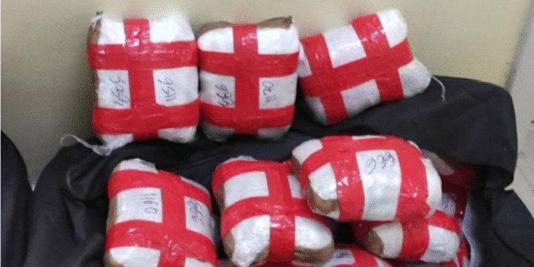 Kapet 56 kg kanabis në Igumenicë, vinte nga Shqipëria