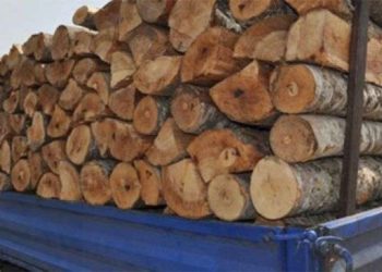 42-vjeçari kapet ‘mat’ në Tepelenë, transportonte dru pa leje