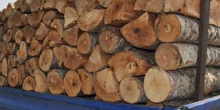42-vjeçari kapet ‘mat’ në Tepelenë, transportonte dru pa leje